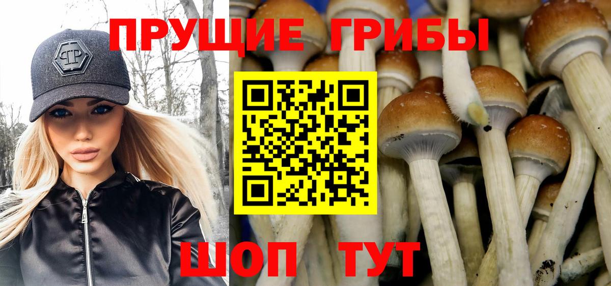 Асбест  Галлюциногенные грибы Psilocybe  Вход с VPN 