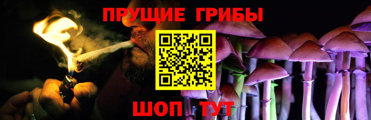 Галлюциногенные грибы прущие грибы Асбест